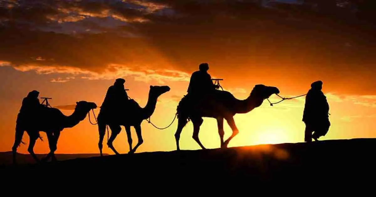 5 días desde Marrakech al desierto de Merzouga