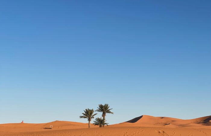 El Desierto
