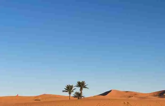 Erg Chebbi