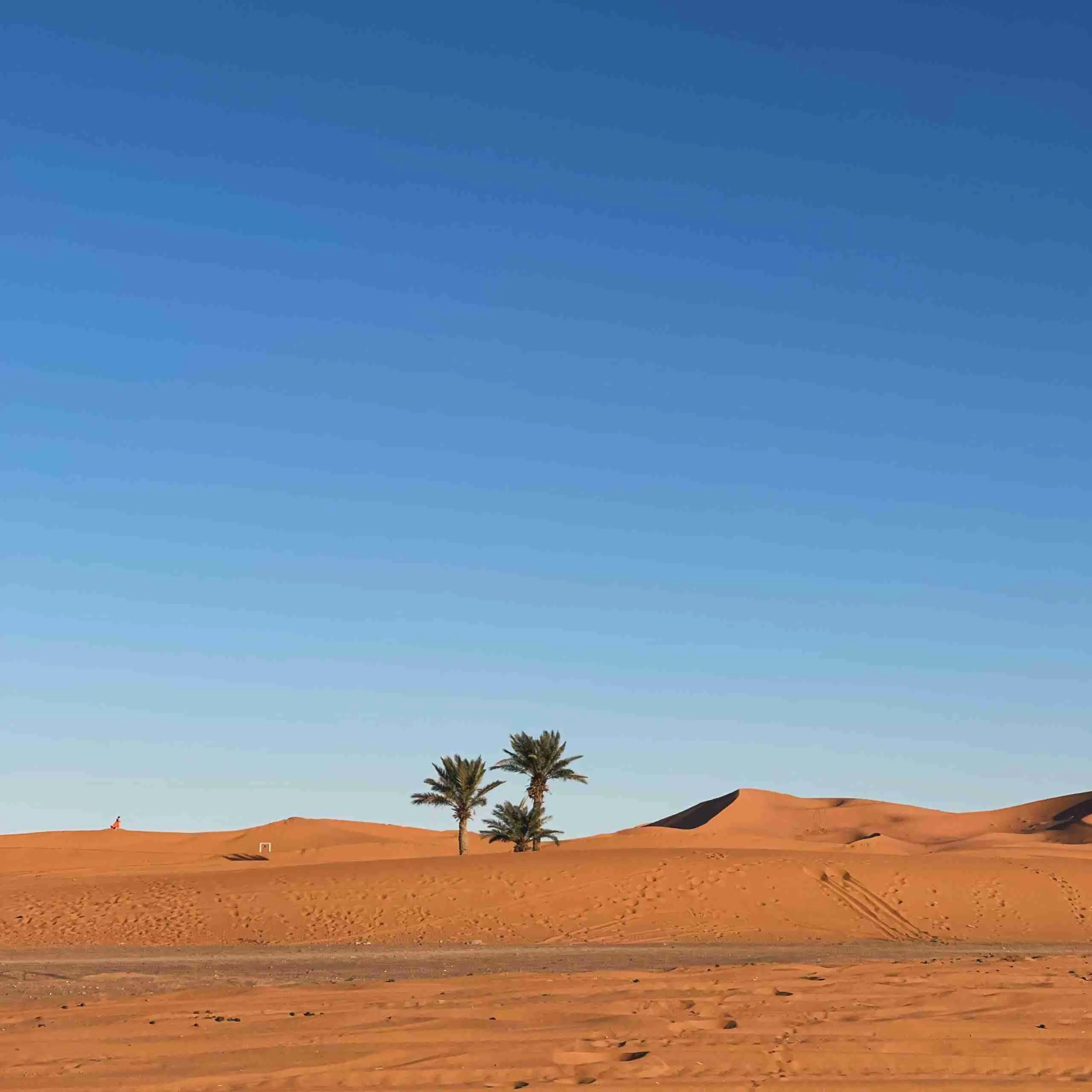 Erg Chebbi