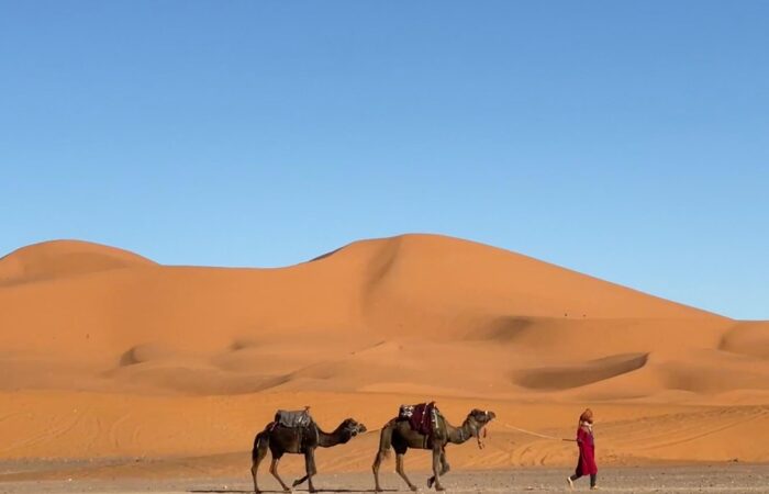 deserto marocchino