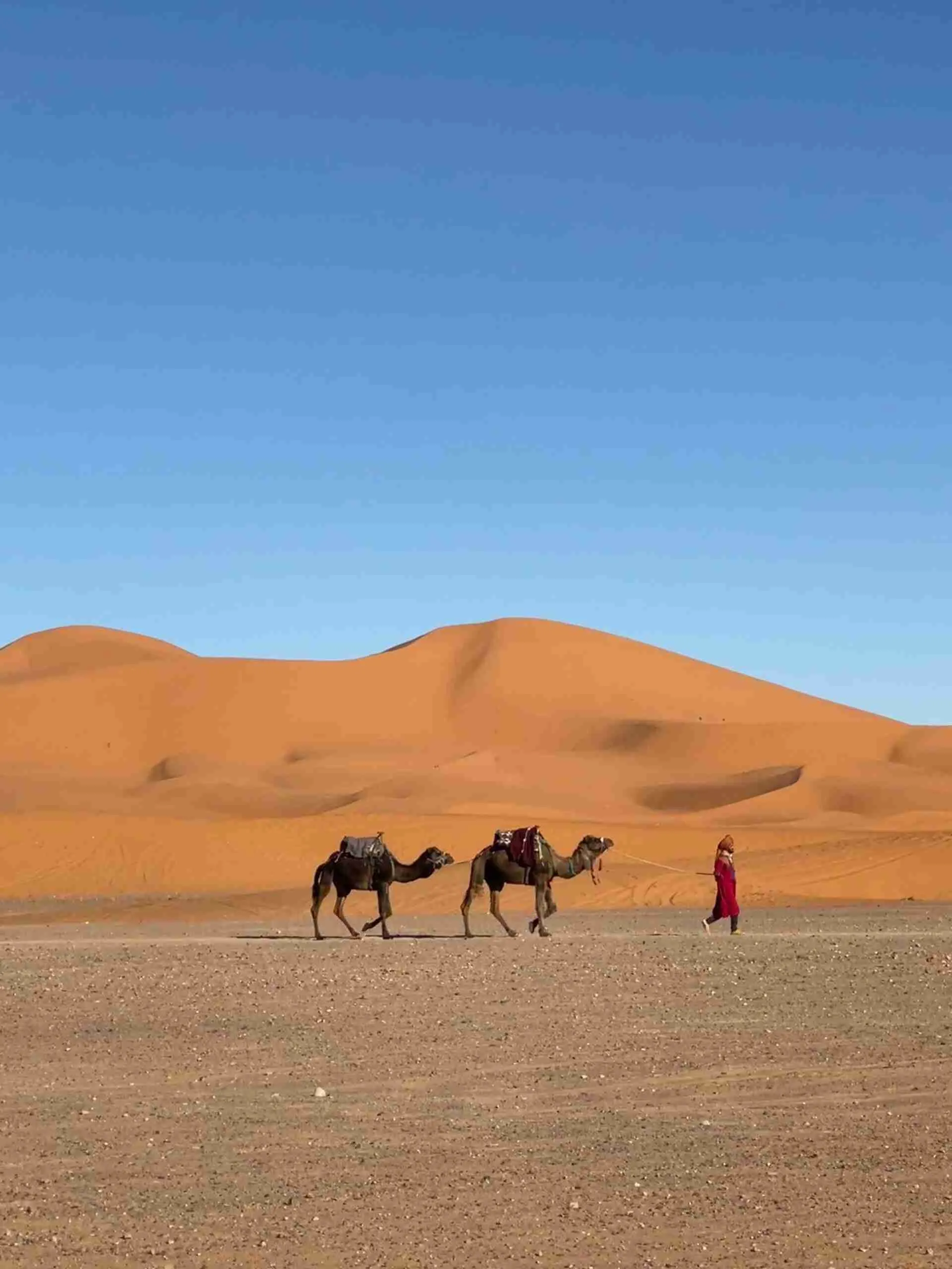 Capodanno nel deserto marocchino