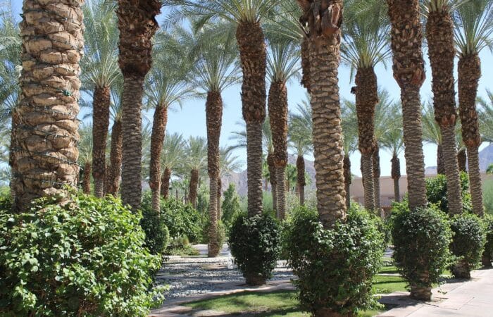 What to see in Marrakech in 3 days