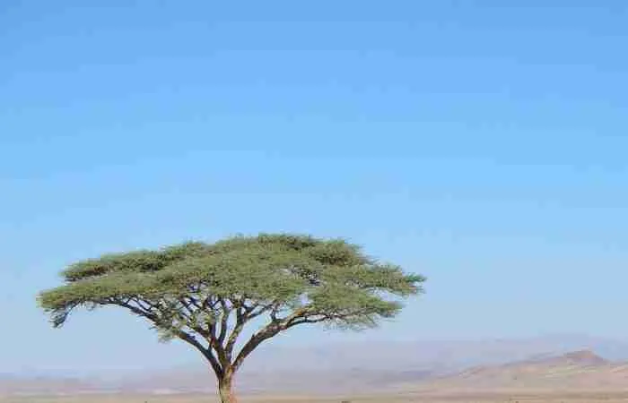 mejor temporada para viajar a Marruecos