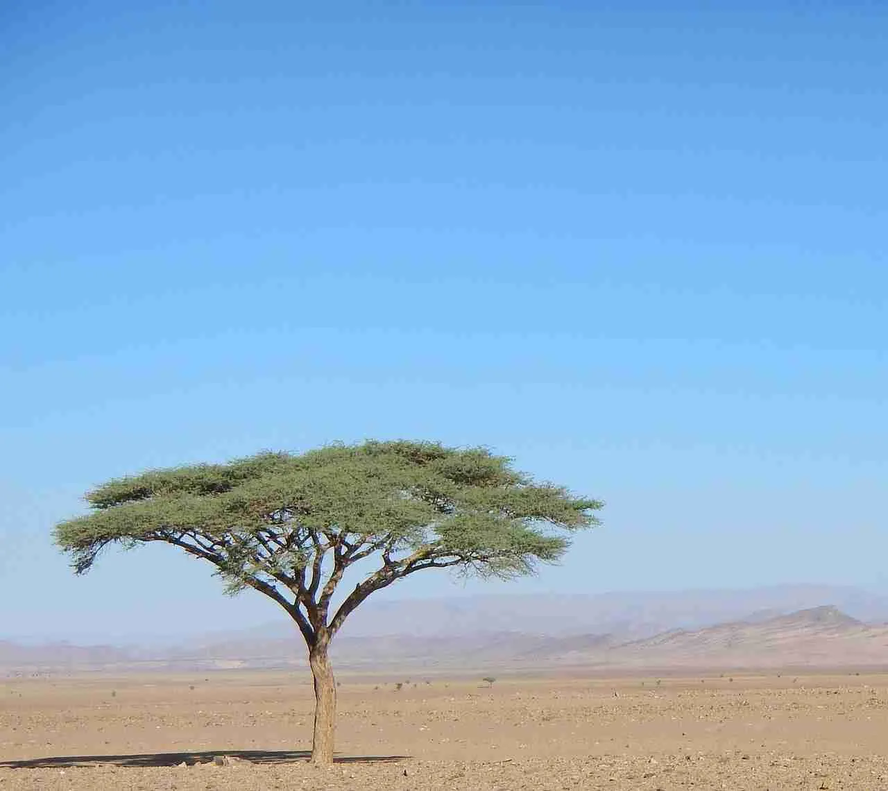 mejor temporada para viajar a Marruecos