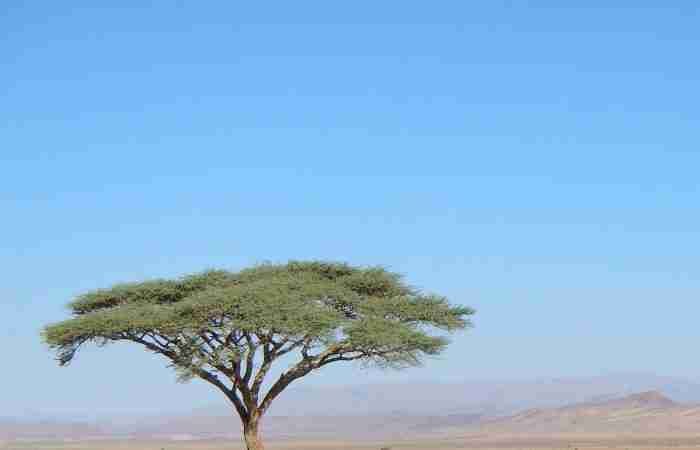 periodo migliore per viaggiare in Marocco