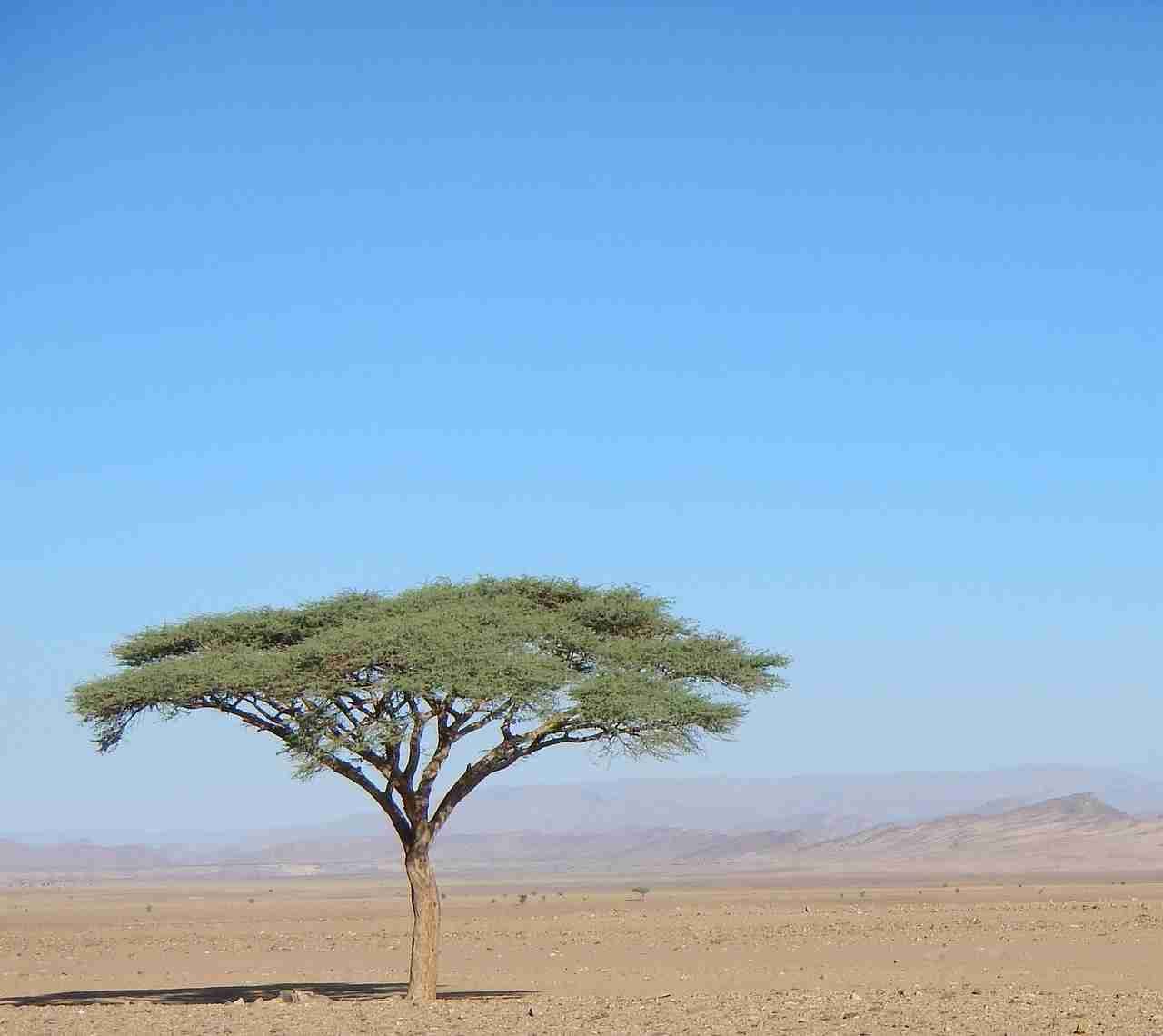 periodo migliore per viaggiare in Marocco