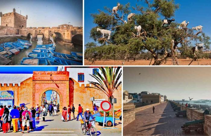 Traveling to Morocco with kids