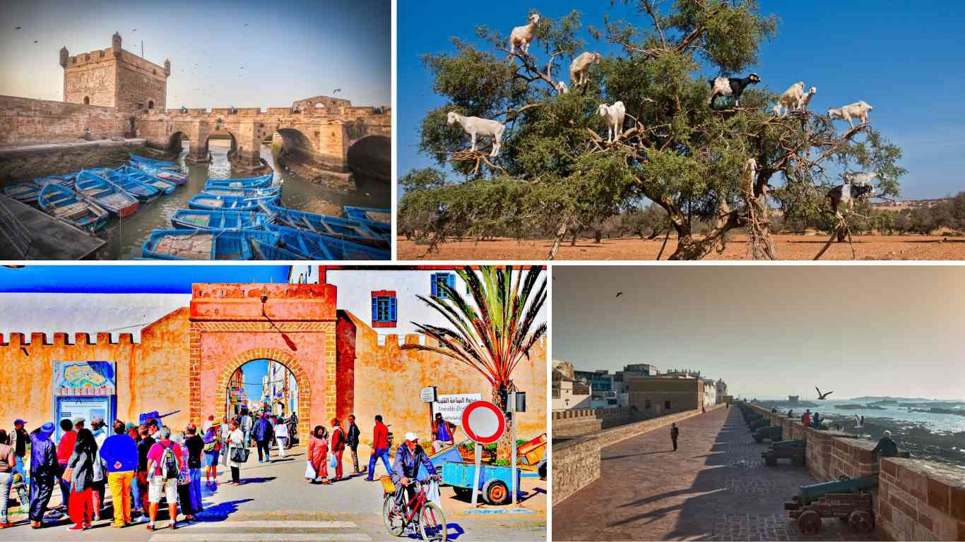Traveling to Morocco with kids